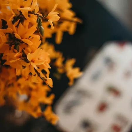 La Casa Sull'isola Pescatori * Stresa