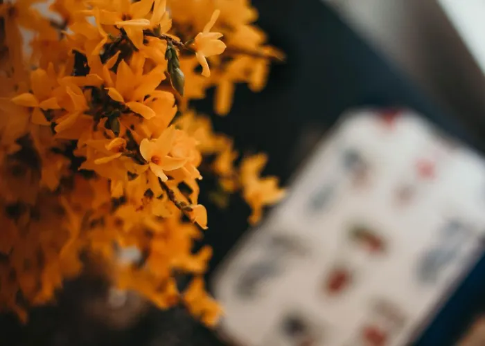 La Casa Sull'isola Pescatori * Stresa