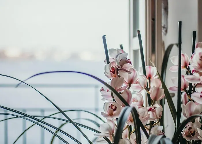 Apartamento La Casa Sull'isola Pescatori